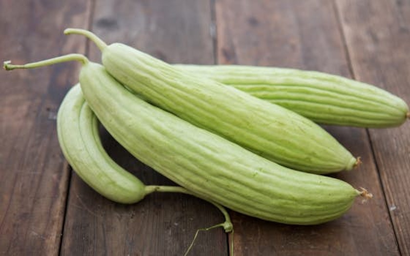 Armenian Cucumber