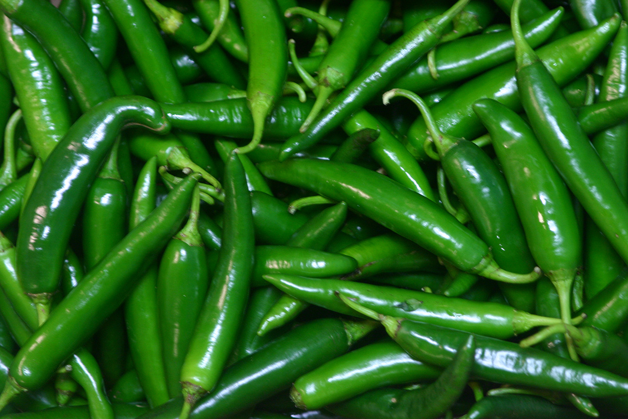 Hot Green Chili  pepper