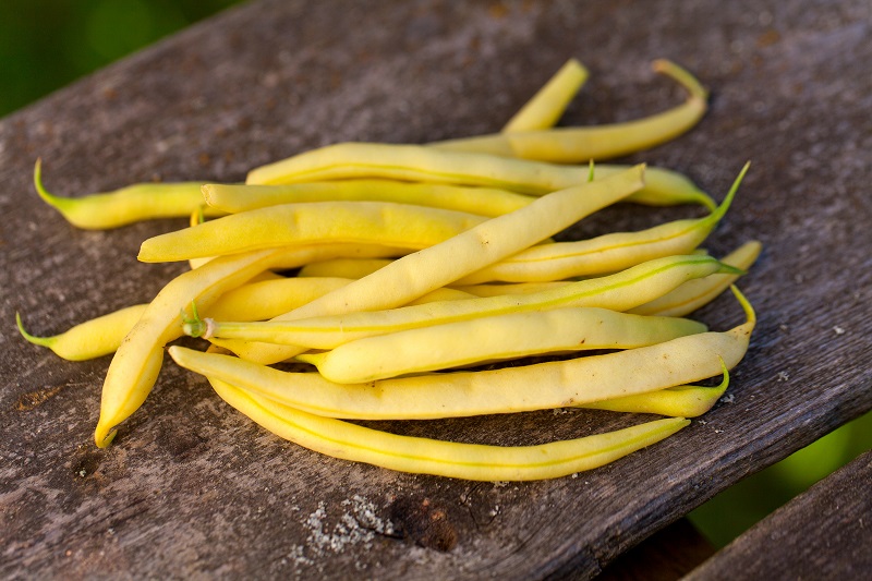 Yellow Dwarf Bean