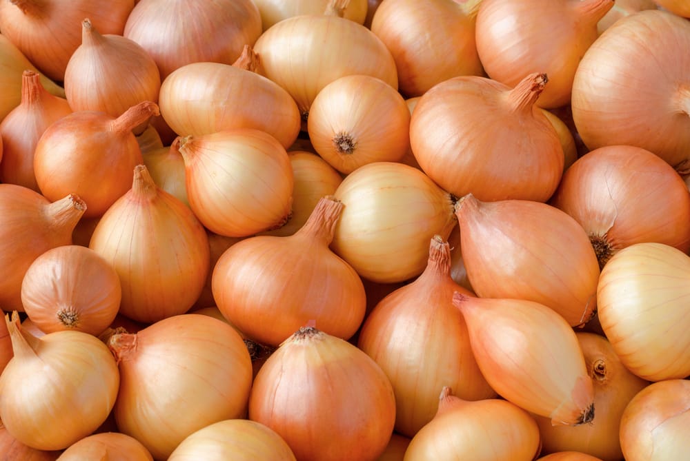 Yellow Onion _ Sweet Onion